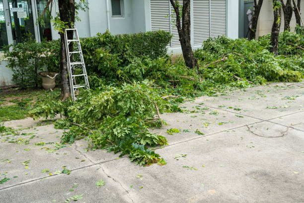 Best Lawn Drainage Solutions  in Bensville, MD